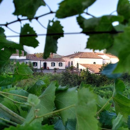 Casa Vacanze Etna Piedimonte Etneo Exterior photo